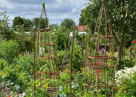 tuin